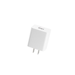 NBHIC12W-1A1 iPhone/iPad 2.4V Charger Compatible with MicroSD Card Backup - Free HiCharger Data Backup iOS Application